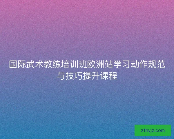 国际武术教练培训班欧洲站学习动作规范与技巧提升课程